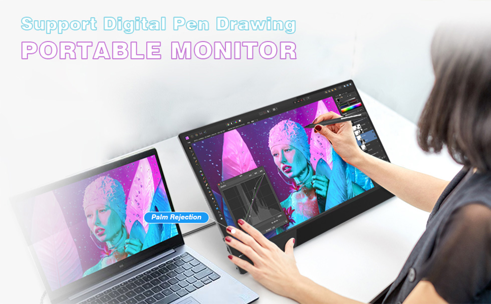 Sibolan portable monitor